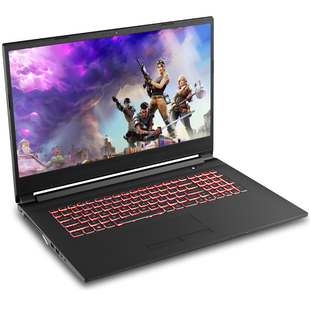 Clevo NH70RCQ - Portable CAO graphisme 3D jeux sans windows ou avec Linux - SANTINEA